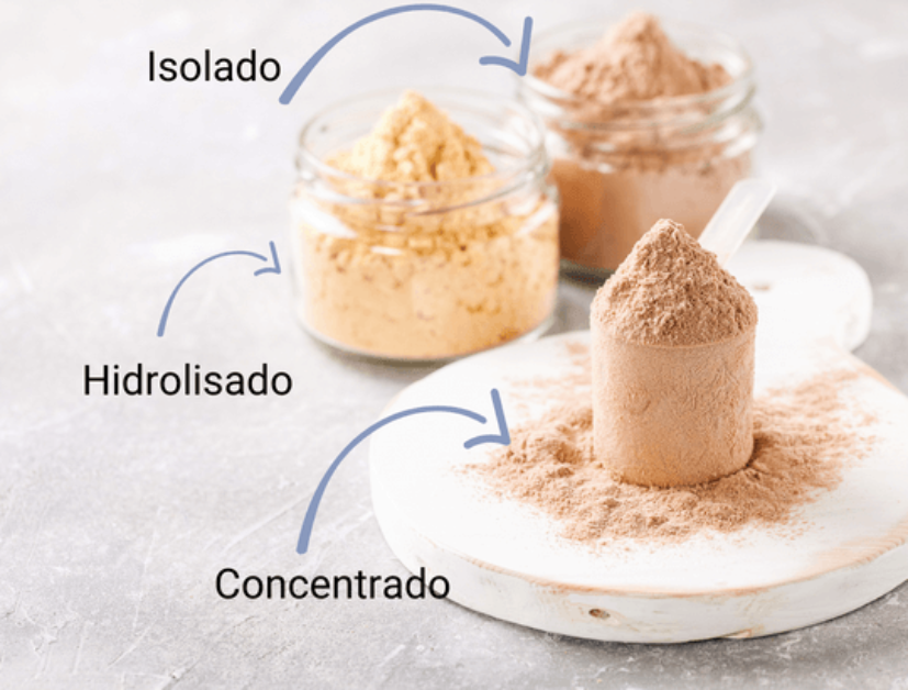 Tipos de Whey Protein